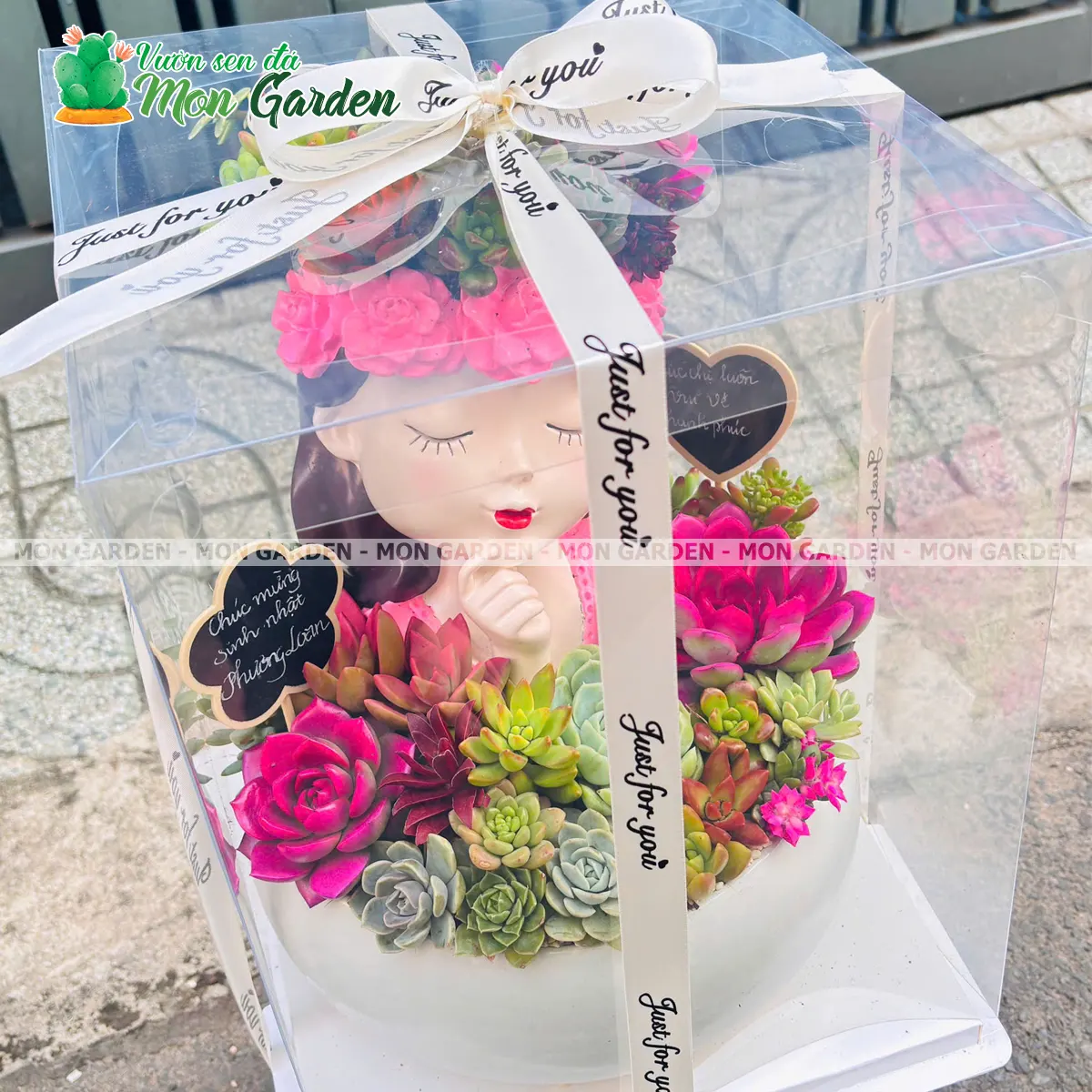 Chậu sen đá cô gái mộng mơ làm quà tặng tại Mon Garden