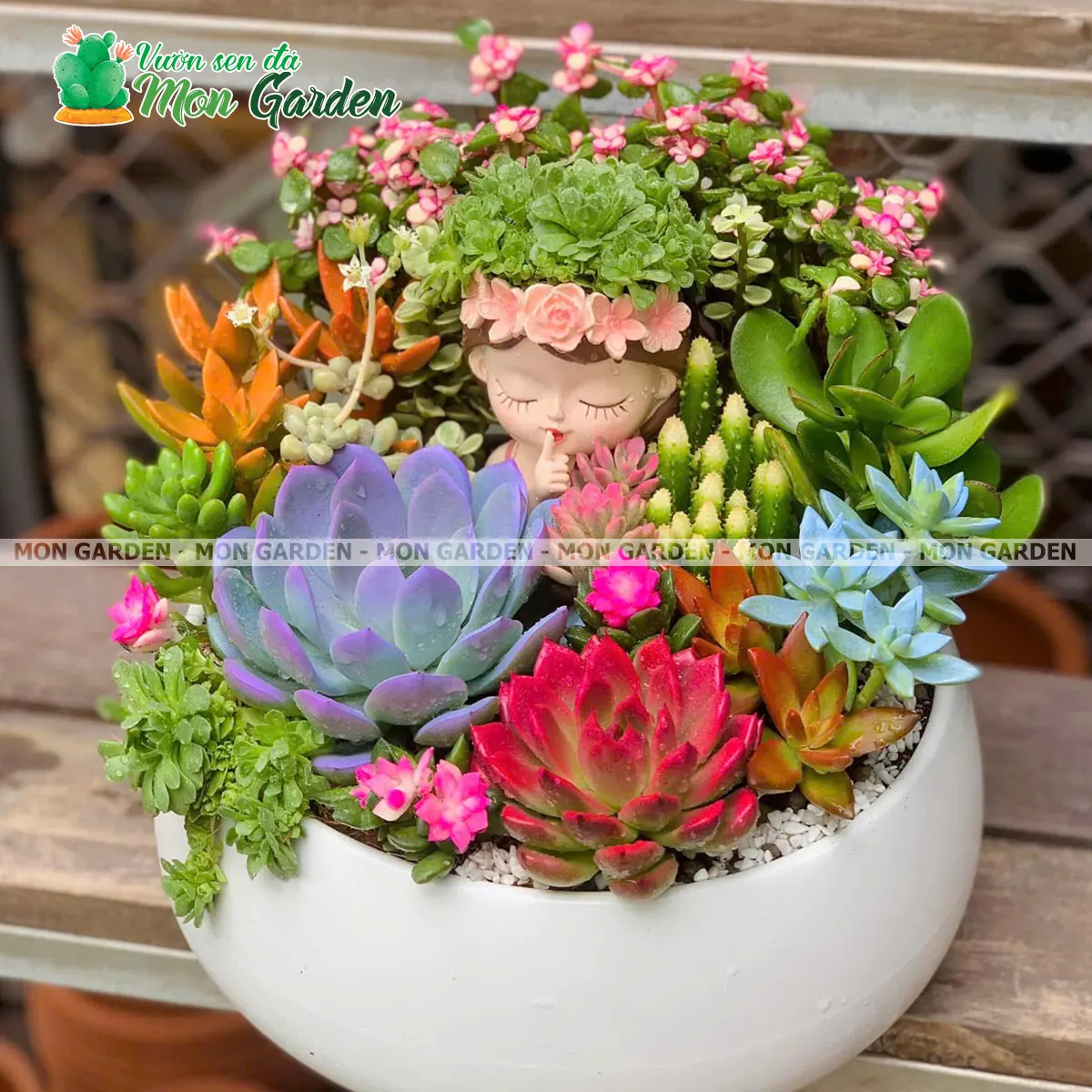 Tiểu Cảnh Sen Đá Nàng Thơ Tiểu Cảnh Sen Đá Nàng Thơ
