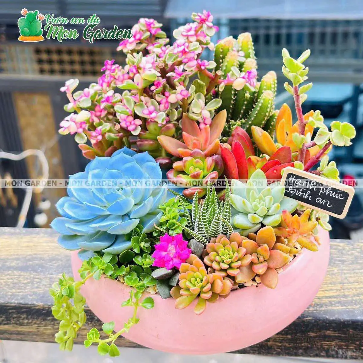Chậu Sen Đá Quà Tặng "Hạnh Phúc Bình An"