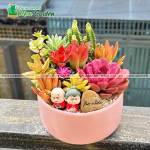 Tiểu cảnh sen đá an nhiên