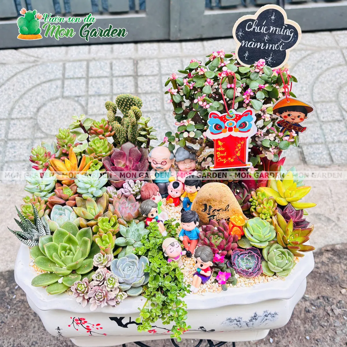 Tiểu Cảnh Sen Đá Gia Đình Sum Vầy